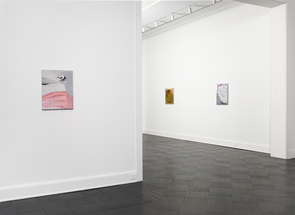 Soft Sun - Soft sun, soloshow